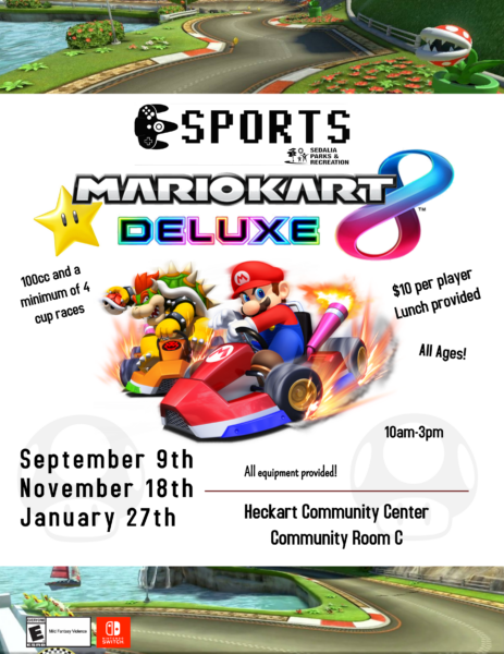 Mario Kart Tournament – Polk County Public Libraries